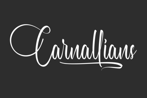 Carnallians Font: Elevate Your Handmade Brand with Elegant Script